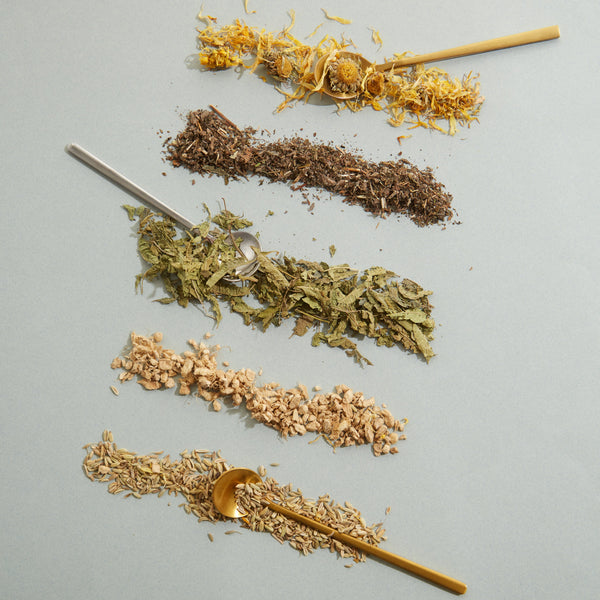 BALANCE - Blend herbal - Doypack 100 grs