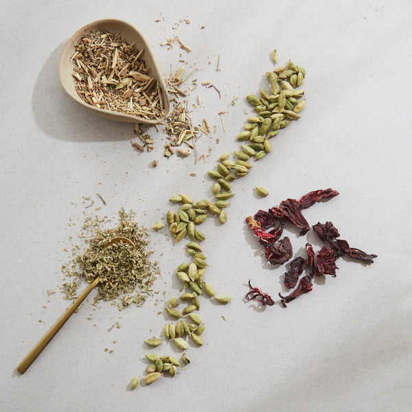 CONEXIÓN - Blend especiado - Doypack 100 grs